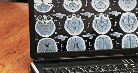 LA INTELIGENCIA COLECTIVA, UNA COLABORACIÓN FORMIDABLE DE CEREBROS LA INTELIGENCIA COLECTIVA, UNA COLABORACIÓN FORMIDABLE DE CEREBROS