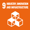 Industry, Innovation and Infraestructure