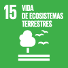 Vida de ecosistemas terrestres