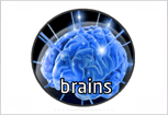 logo BRAINS