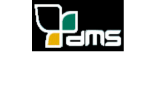 DMS  Desarrollo de Medios y Sistemas