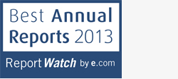 Best Annual Reports 2013