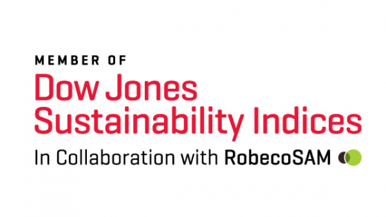 Dow Jones Sustainability Index (DJSI) World