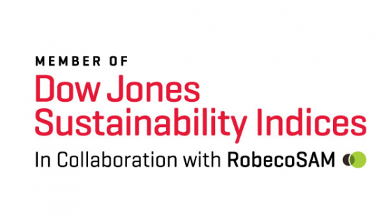  Dow Jones Sustainability Index (DJSI) World